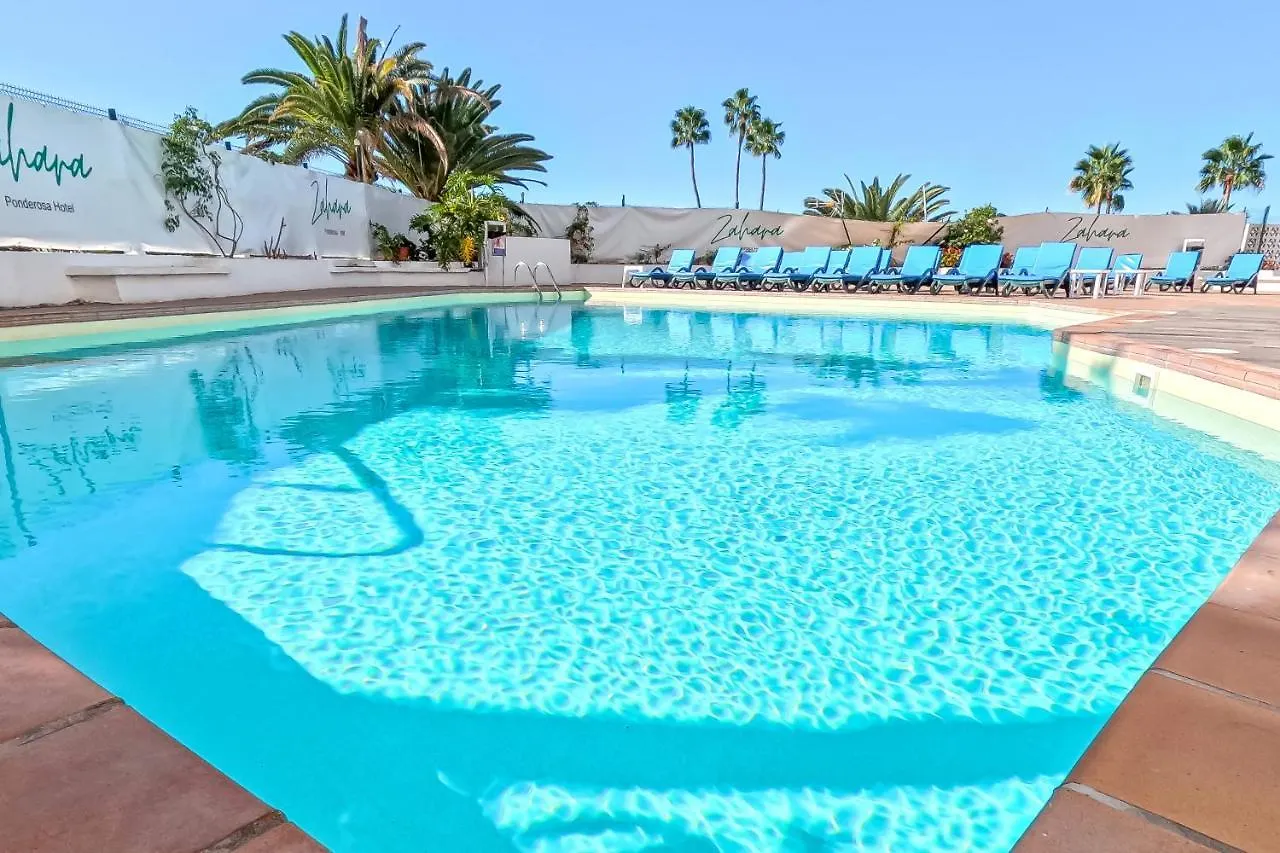 Stunning Apartment With Ocean View Playa Fanabe Spain